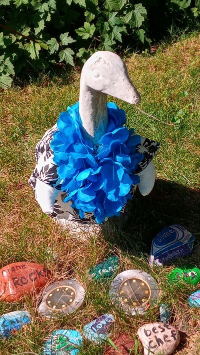 Goose