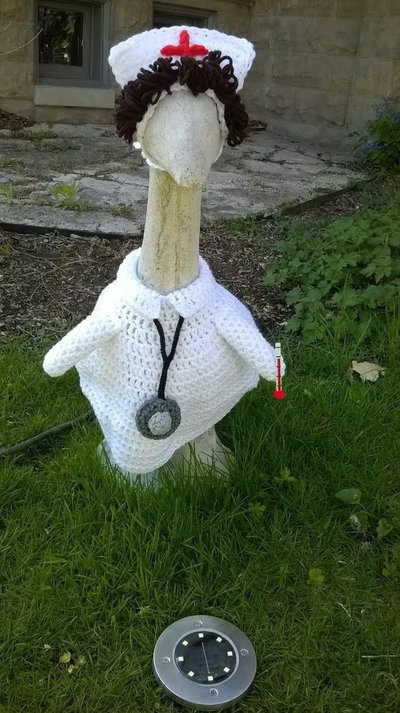 Goose